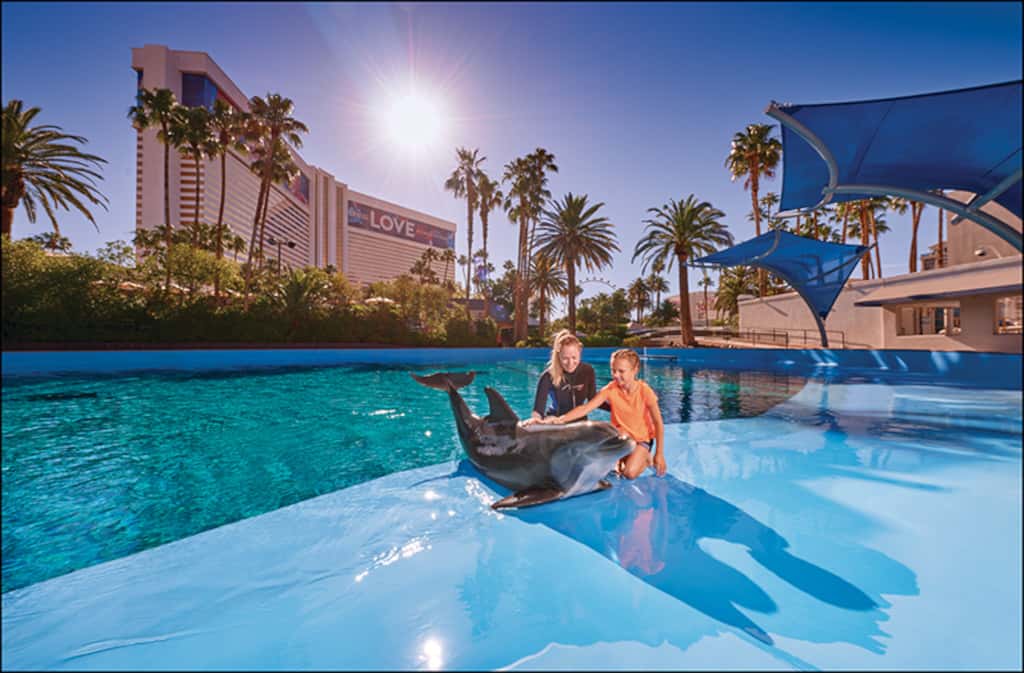 Unusual and Quirky Vegas Attractions